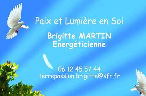 Brigitte Martin - Energéticienne